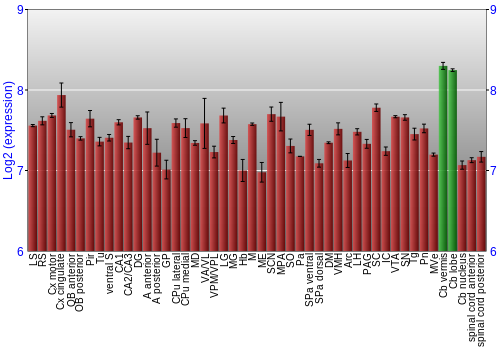 Multi-state expression graph