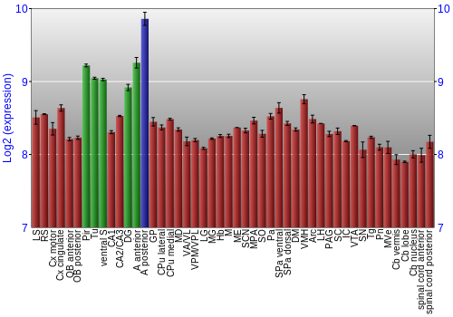 Multi-state expression graph