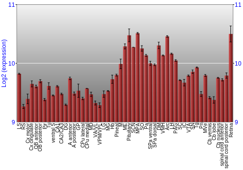 Expression graph
