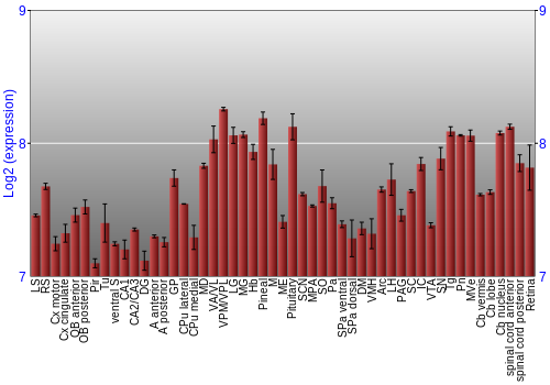 Expression graph