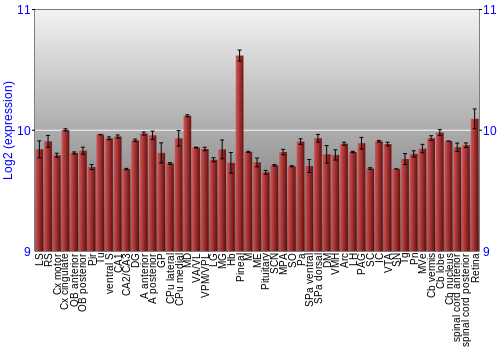 Expression graph