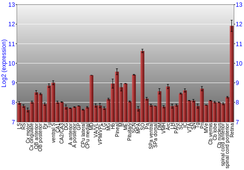 Expression graph