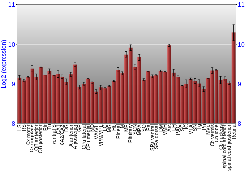 Expression graph