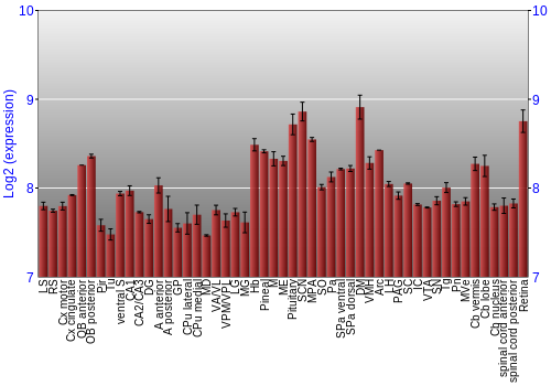 Expression graph