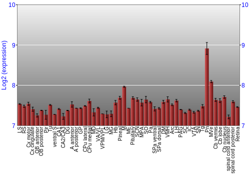 Expression graph