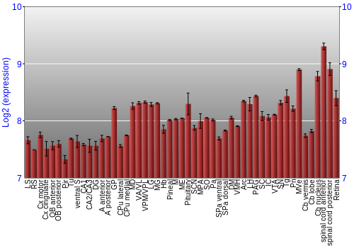 Expression graph