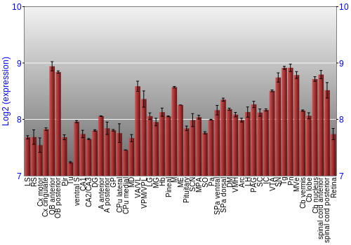 Expression graph