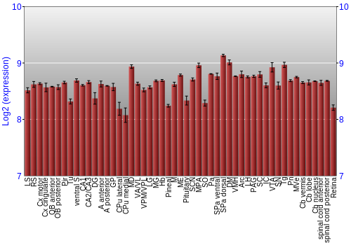 Expression graph