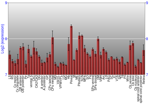 Expression graph