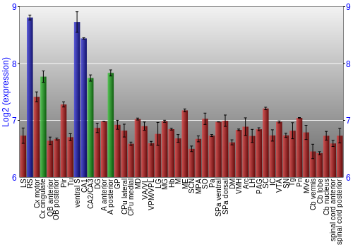 Multi-state expression graph