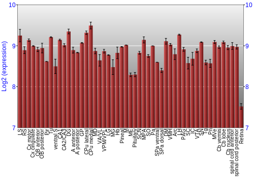 Expression graph