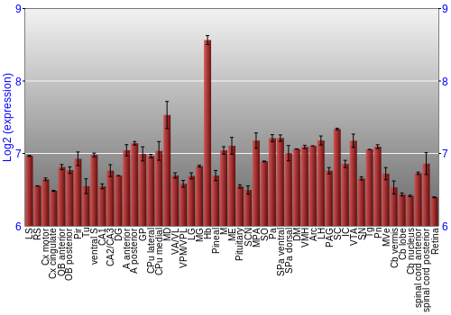Expression graph