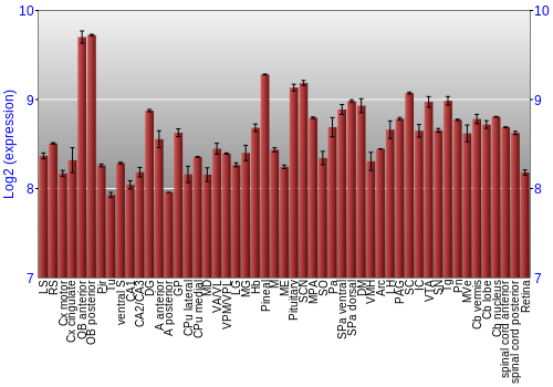 Expression graph