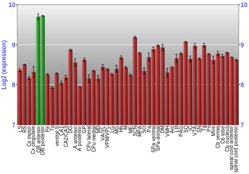 Multi-state expression graph