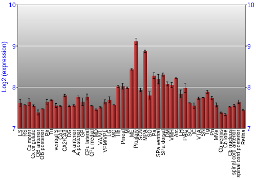 Expression graph