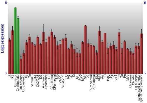 Multi-state expression graph