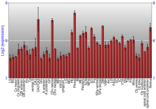 Expression graph