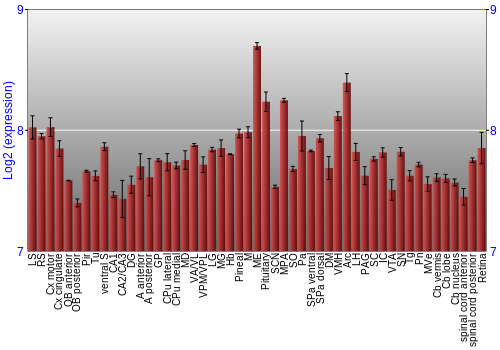 Expression graph