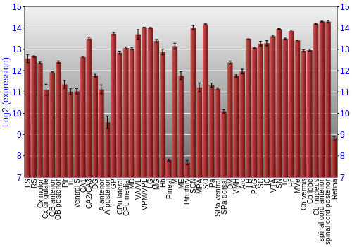 Expression graph