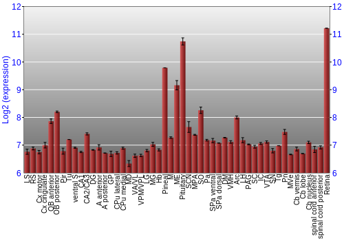 Expression graph