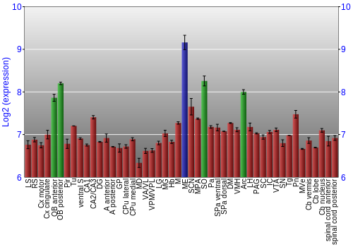 Multi-state expression graph