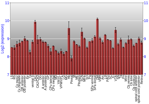 Expression graph