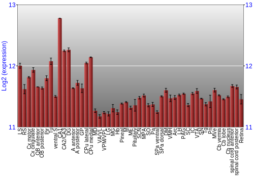 Expression graph