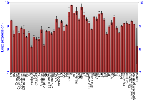 Expression graph