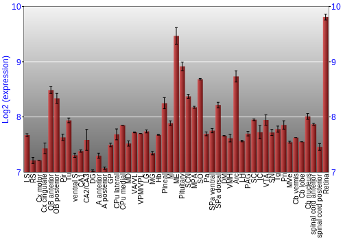 Expression graph