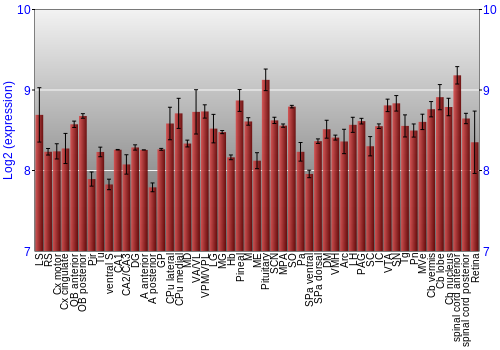 Expression graph