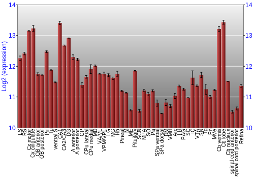 Expression graph