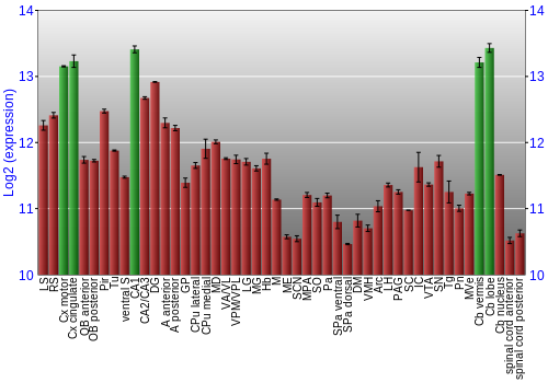 Multi-state expression graph