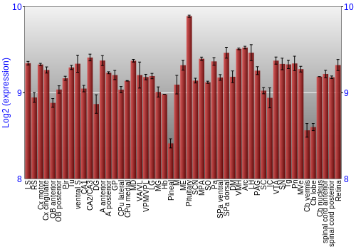 Expression graph