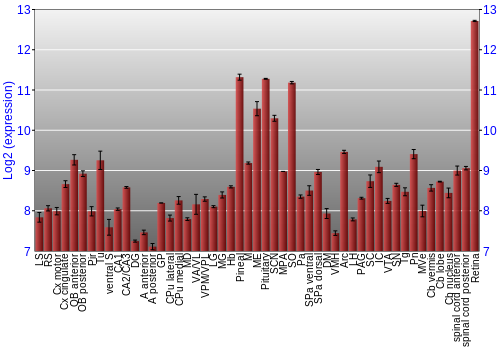 Expression graph