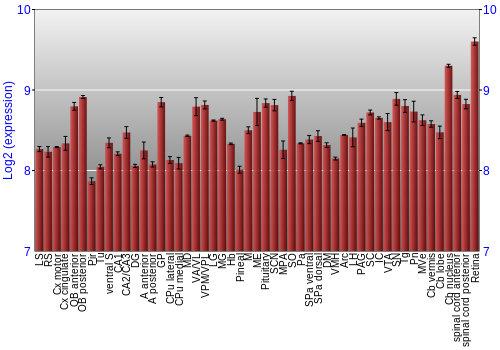 Expression graph