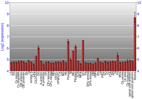 Expression graph