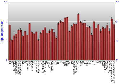 Multi-state expression graph