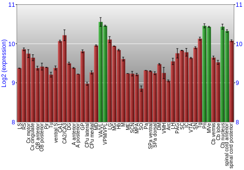Multi-state expression graph