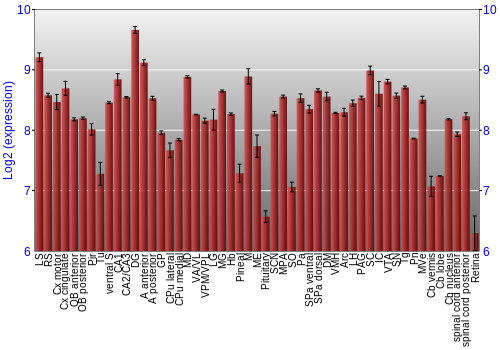 Expression graph
