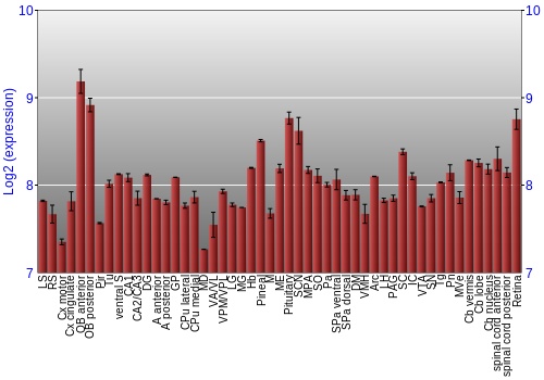 Expression graph