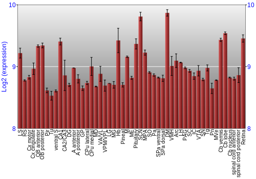 Expression graph
