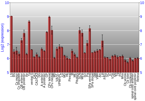 Expression graph