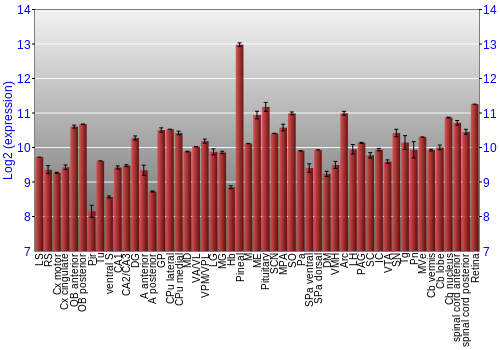 Expression graph