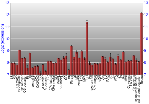Expression graph