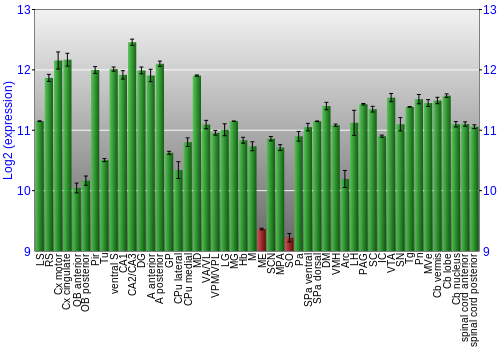 Multi-state expression graph