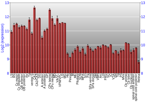 Expression graph
