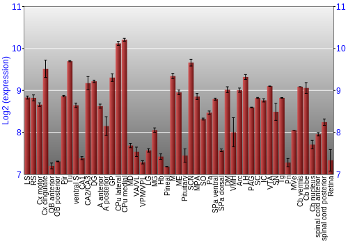 Expression graph