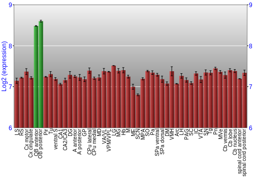 Multi-state expression graph