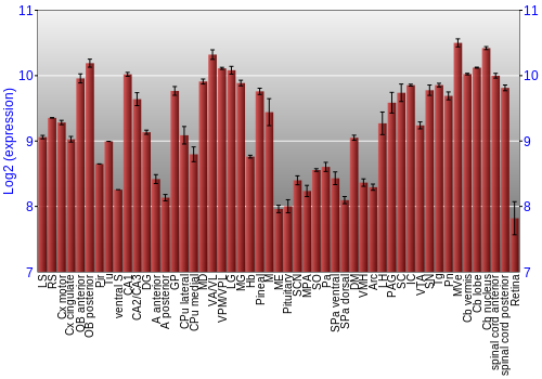Expression graph
