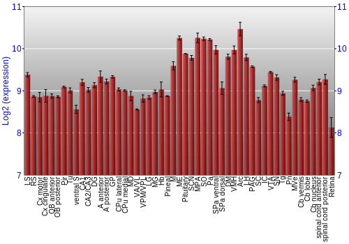 Expression graph
